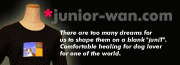 JUNIOR-WAN.COMDESIGN �o�i�[�f�h�e